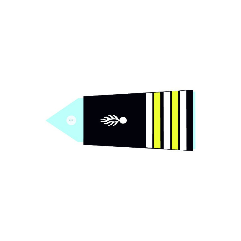 Fourreaux rigides CTA - Lieutenant Colonel (Homme)