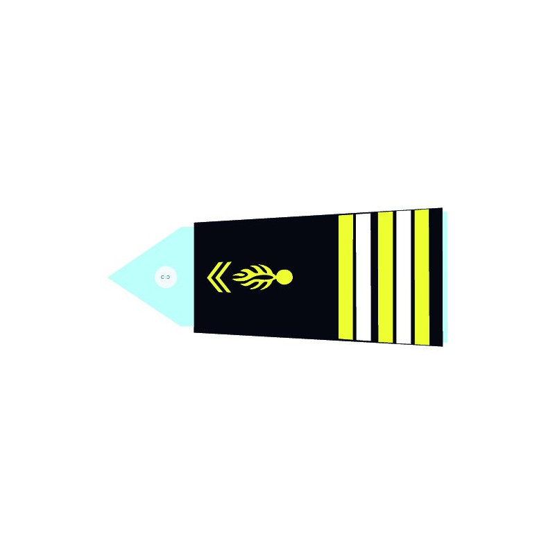 Fourreaux souples machine GM - Lieutenant Colonel (H)