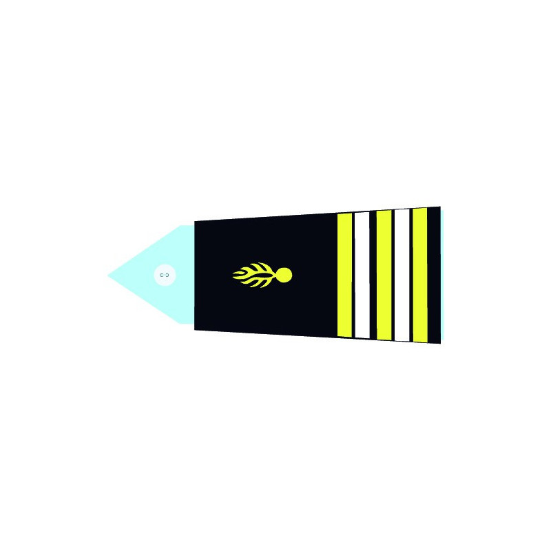 Fourreaux rigides GR - Lieutenant Colonel (Femme)