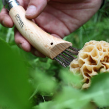 Couteau Opinel Champignons