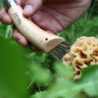 Couteau Opinel Champignons