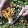 Couteau Opinel Champignons