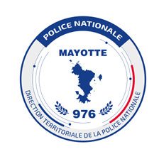 Insigne brodé rond DTPN...