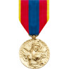 Médaille d'or de la défense nationale