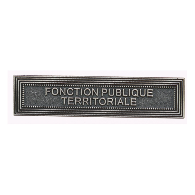 Agrafe Fonction publique territoriale Vieil argent