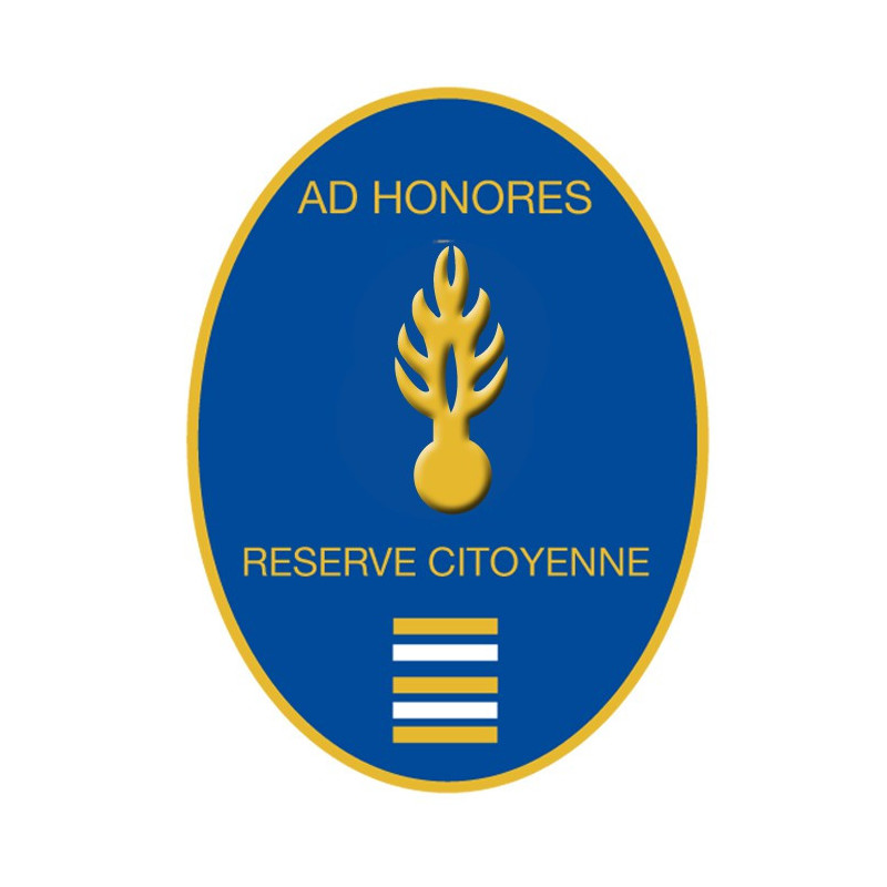 Insigne de la réserve citoyenne - Lieutenant Colonel