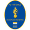 Insigne de la réserve citoyenne - Lieutenant Colonel